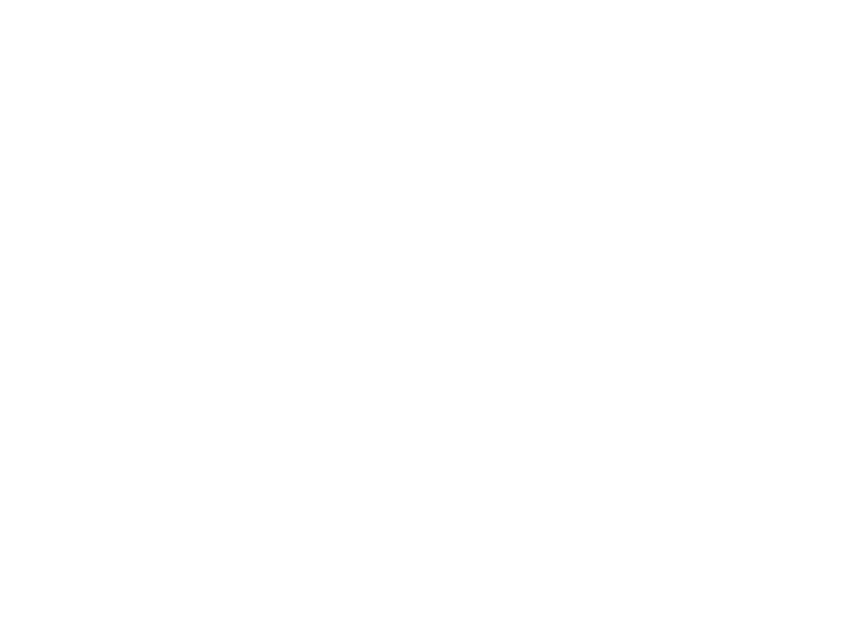 ¿Quiénes somos?